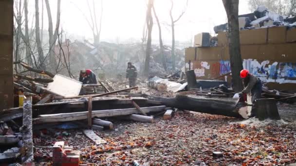 Рабочие распиливают деревья возле поврежденного здания — стоковое видео