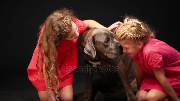 Chicas y hermoso perro en el suelo — Vídeo de stock