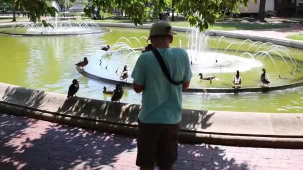 Menino atirando patos na fonte da cidade — Vídeo de Stock