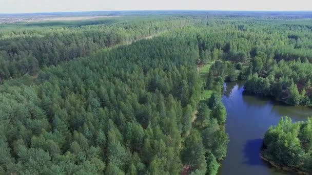 Bladverliezende wouden met rivier — Stockvideo