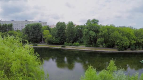 Pflanzen auf kleiner Insel im Teich — Stockvideo