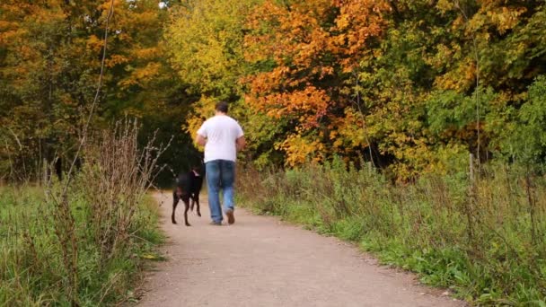 El hombre pasea con su perro en el bosque de otoño — Vídeos de Stock