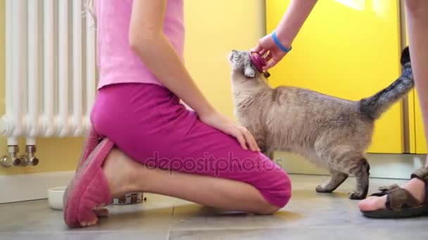 Kinderen benen en kat op de vloer in appartement — Stockvideo