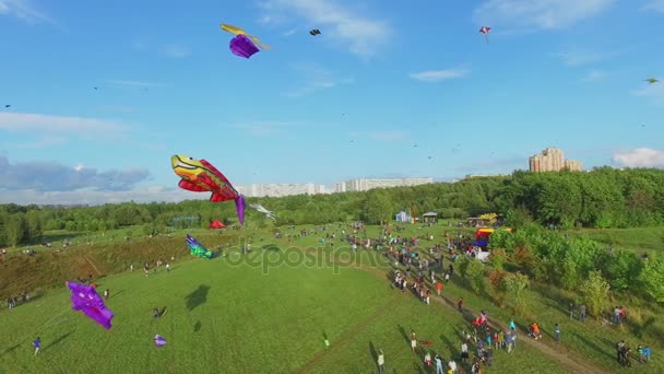 People launch kites in city park — Stock Video