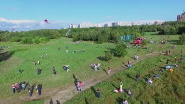 都市公園における人打ち上げ凧の群れ — ストック動画