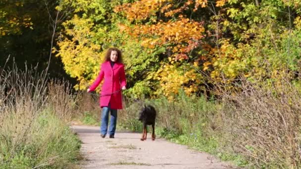 女性は、森で彼女の犬と一緒に歩く — ストック動画