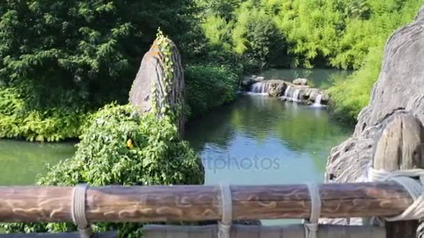 Water van de rivier onder bomen en struiken — Stockvideo