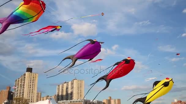 Jaarlijkse internationale Kite Festival op strand in New York City — Stockvideo