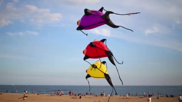 Helle Drachen steigen am Strand in den Himmel — Stockvideo