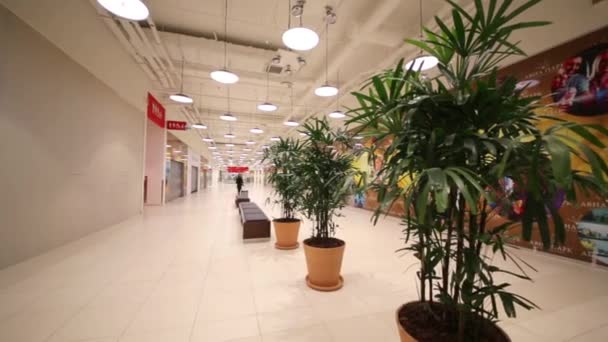 Pasillo con plantas y bancos en el centro comercial — Vídeo de stock