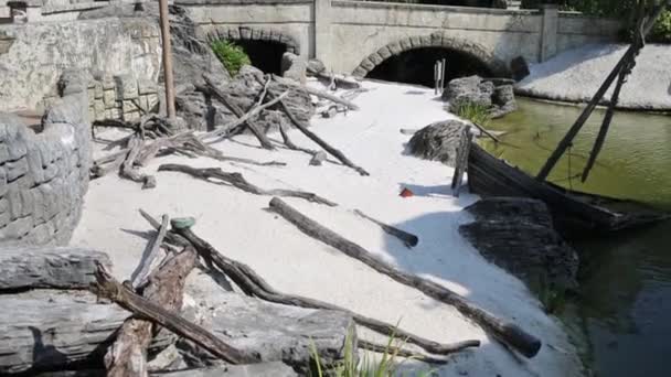 Kust rond de rivier en brug in Adventureland van Disneyland — Stockvideo