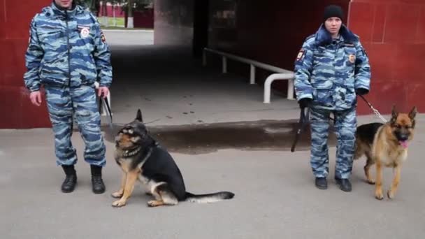 Polizist und Polizistin mit Schäferhund in Polizeigewahrsam — Stockvideo