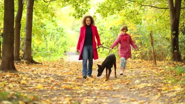 Mädchen mit Mutter geht mit Hund im Park spazieren — Stockvideo