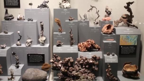 Silver och koppar i National Museum of Natural History — Stockvideo