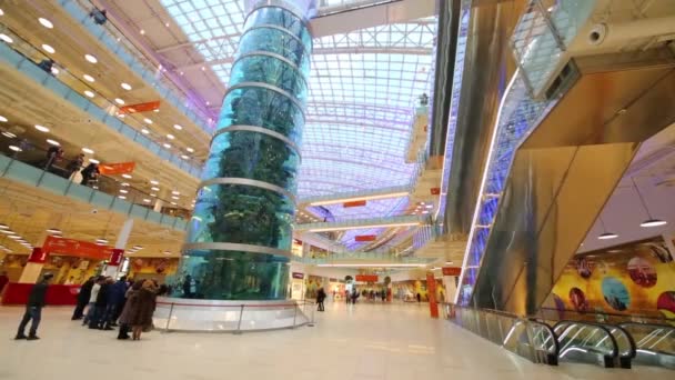 Awesome akvarium i hjärtat av shoppingcenter — Stockvideo