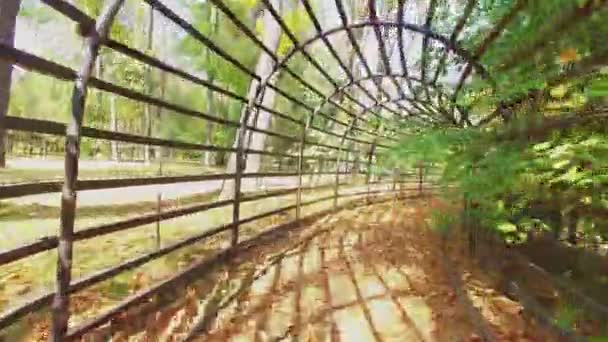 Tunnel onder planten in openbare tuin Ostankino — Stockvideo