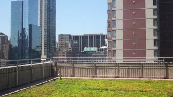 Terrasse mit grünem Gras und vielen Wolkenkratzern — Stockvideo