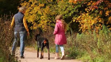 kız annesi ile köpek sonbahar ormanda yürüyüş ile