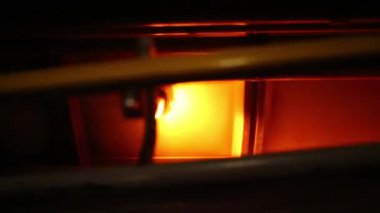 Bitki üzerinde karanlıkta parlayan alarm ışıkları