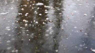 Gölet üzerinde kabarcıklar ile kalın buz