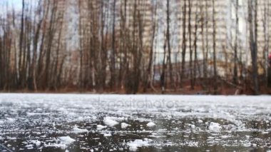 patenciler ağaçları arasında donmuş gölet