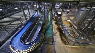Konserve bira bira fabrikasında hareketli konveyör