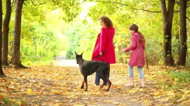 köpek park ile yürüme anne ile kız