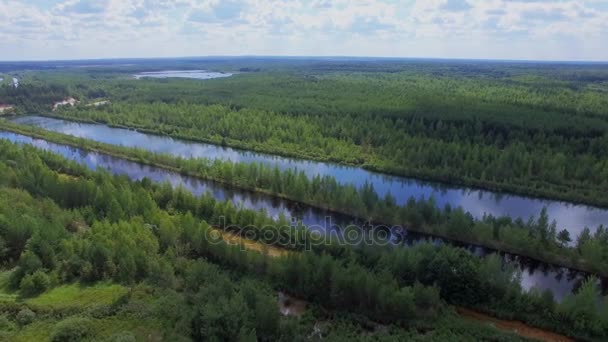 Řeka s mraky reflexe mezi stromy — Stock video