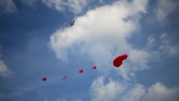 Aumento degli aquiloni luminosi Uccello e cuori — Video Stock