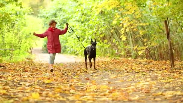 Meisje loopt met hond in herfst park — Stockvideo