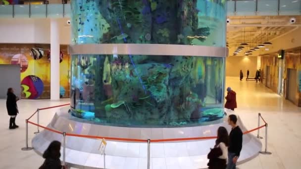 Высокий аквариум в торговом центре Aviapark — стоковое видео