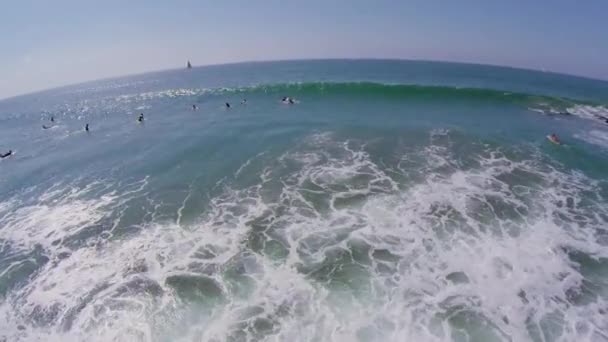 Несколько серферов веселятся в воде — стоковое видео