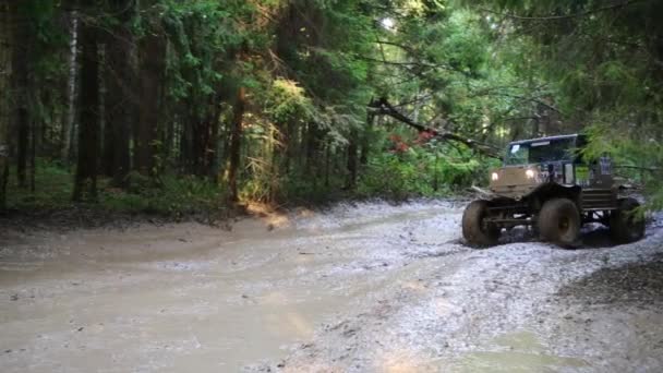 Carro vai na sujeira na floresta em competição off-road — Vídeo de Stock