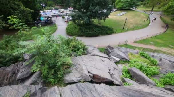 Mrakodrapy a Central park v New Yorku — Stock video
