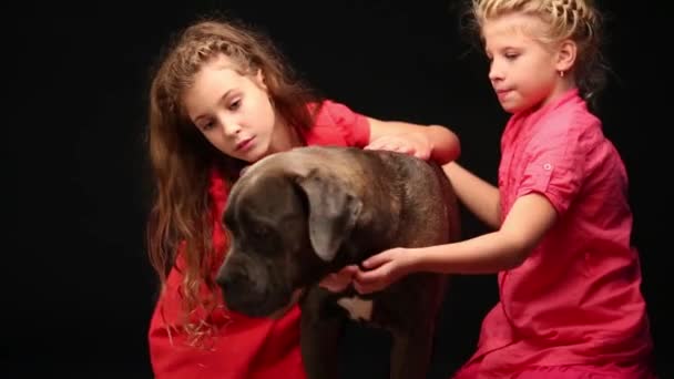 Meisjes strelen mooie hond op verdieping — Stockvideo