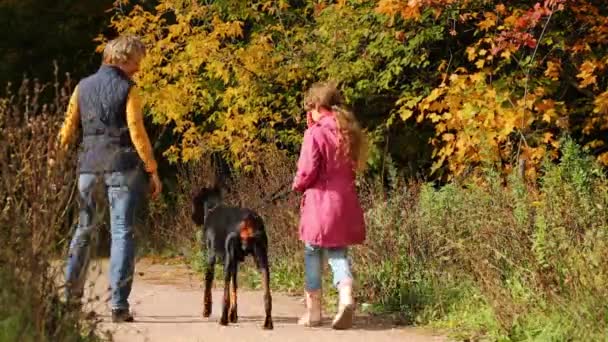 Девочка с матерью гуляет с собакой в осеннем лесу — стоковое видео
