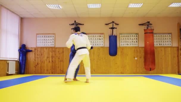 Mannen werken uit de gevechten in de sportschool — Stockvideo