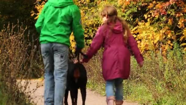 Девочка и мальчик гуляют с собакой в лесу — стоковое видео