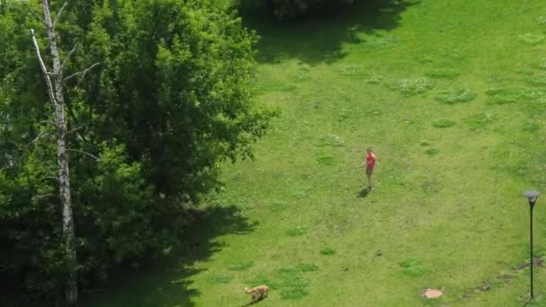 Мужчина выгуливает собаку на лужайке в Москве — стоковое видео