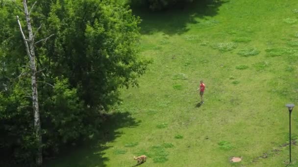 Hombre paseando a un perro en el césped en Moscú — Vídeo de stock