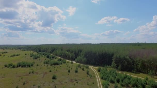 Skog och fält med sandiga vägen — Stockvideo