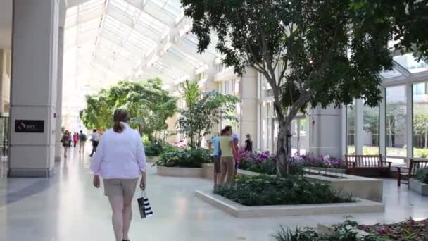 As pessoas caminham na galeria com árvores no Centro Prudencial — Vídeo de Stock