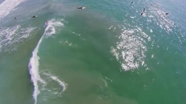 Surfers wachten voor Golf in water — Stockvideo