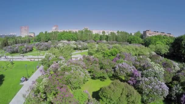 Pessoas andando por becos de Lilac Garden — Vídeo de Stock