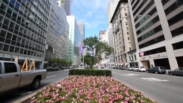 Bloemen en wolkenkrabbers op Park avenue in New York — Stockvideo