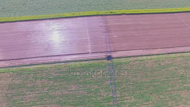 Suburbio con campo de cultivo durante la humectación — Vídeos de Stock