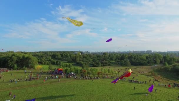 Stadsparken med människor lanseringen drakar — Stockvideo