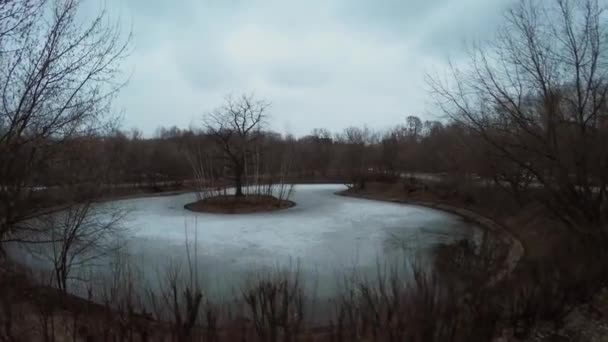 Lagoa de alce perto da estrada com tráfego de automóveis — Vídeo de Stock