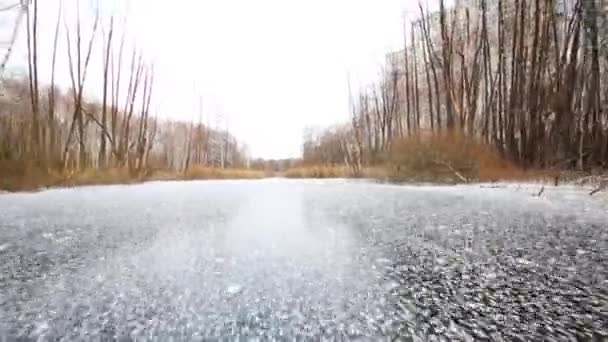 Fresh ice on frozen marsh — Stock Video