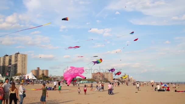 Mensen vliegen vliegers op jaarlijkse International Kite Festival — Stockvideo